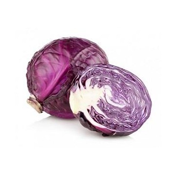 Fresh Cabbage Red P/Kg