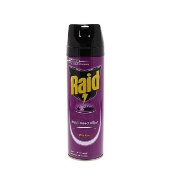 Raid Multi-Purpose Insect Killer 200ml