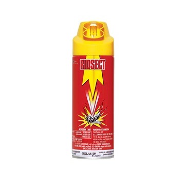 Ridsect All Insect Killer 100ml