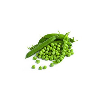 Fresh Green Peas P/Kg