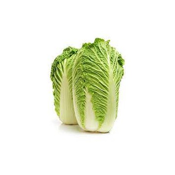 Fresh Cabbage Chinese P/Kg