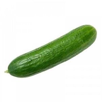 Fresh Cucumber 1Kg